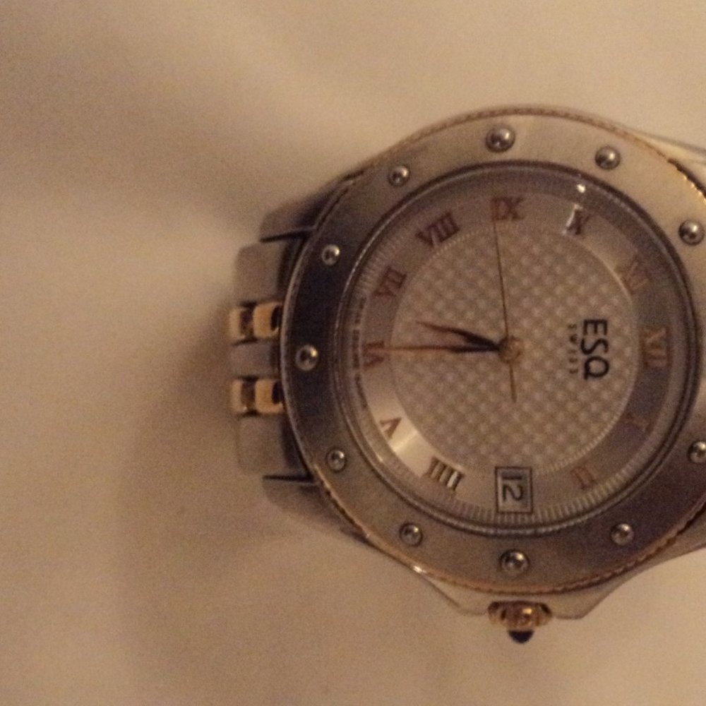 ESQ TWO TONE WATCH & FEATURES OLDER EDITION